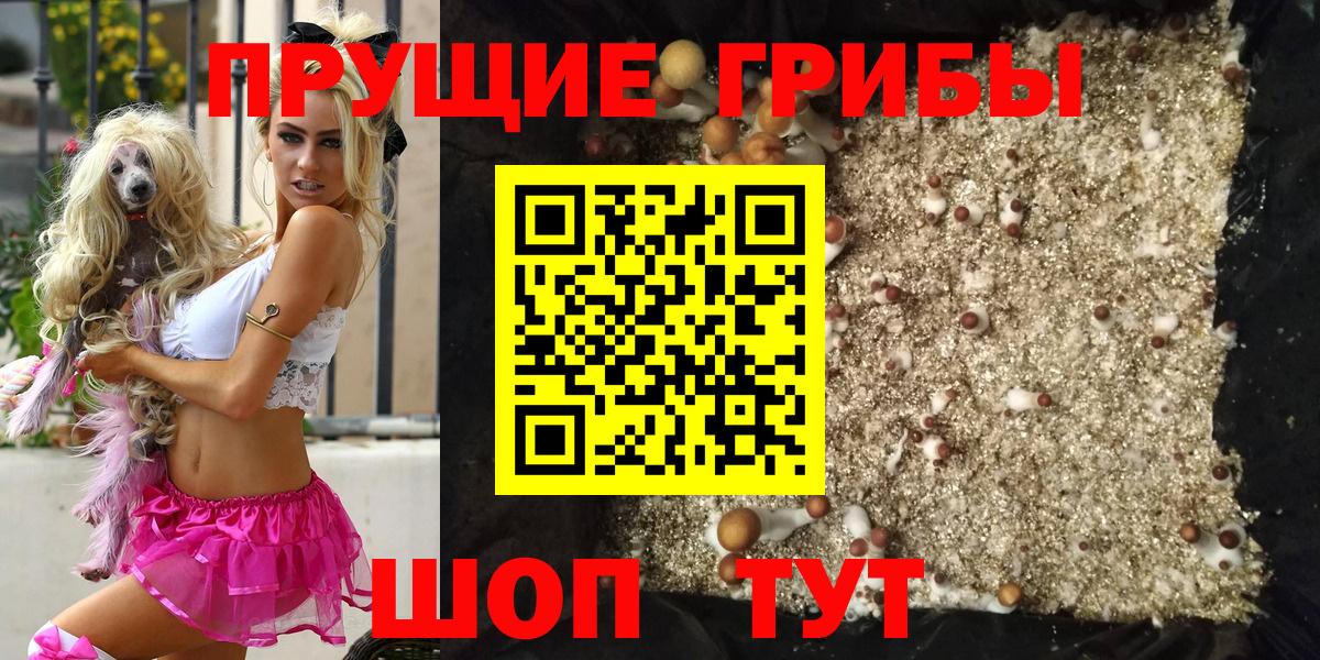 Рубцовск  Псилоцибиновые грибы прущие грибы  Галлюциногенные грибы мицелий  Вход с VPN 